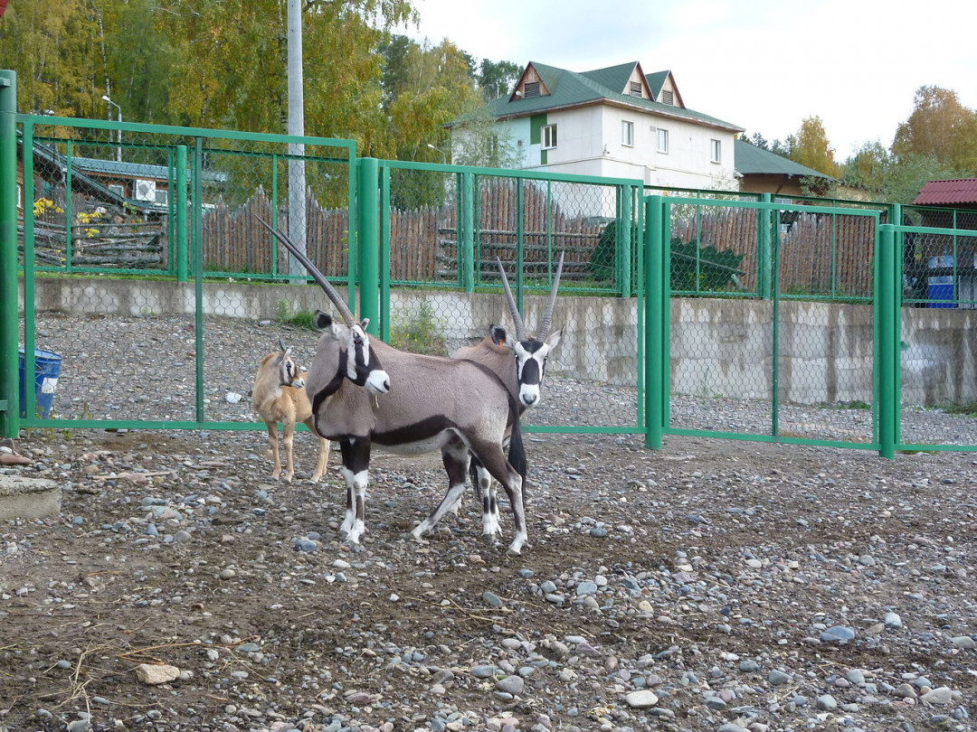 Куда можно съездить в красноярске на машине красивые места. Смотреть фото Куда можно съездить в красноярске на машине красивые места. Смотреть картинку Куда можно съездить в красноярске на машине красивые места. Картинка про Куда можно съездить в красноярске на машине красивые места. Фото Куда можно съездить в красноярске на машине красивые места