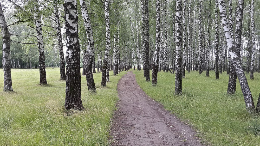что посмотреть возле тулы