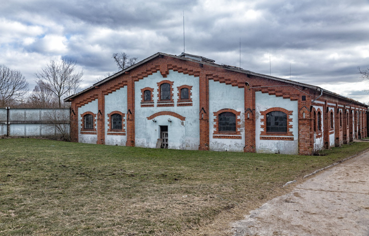 Экскурсия «Рыцарские замки Восточной Пруссии» (из Светлогорска) — фото 5