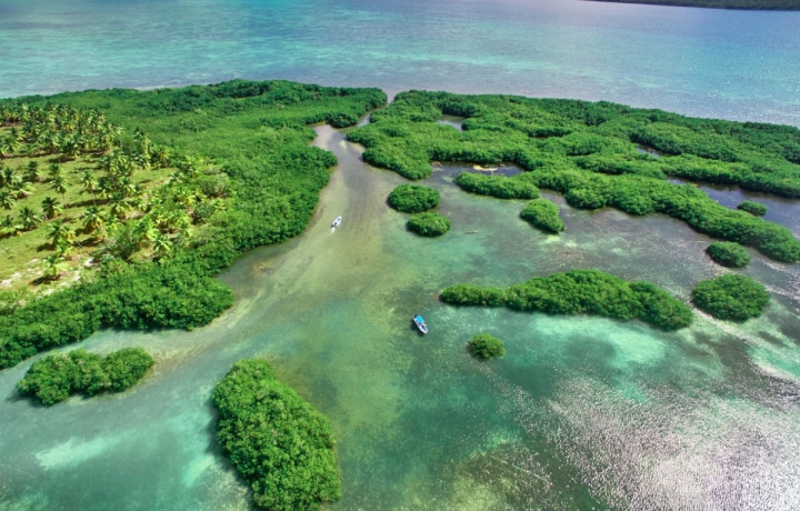 Остров Саона: день в раю на Карибском море — фото 5