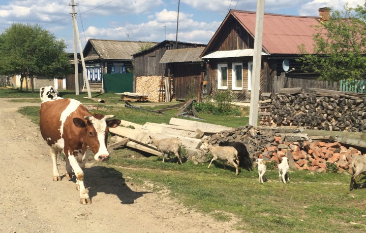 «Золото Невьянска»: путешествие в горнозаводской центр Урала — фото 5