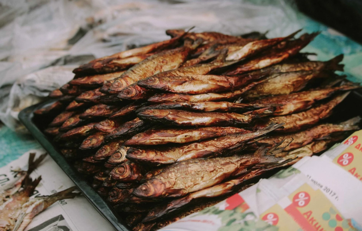 На обитаемые Талабские острова — из Пскова — фото 5